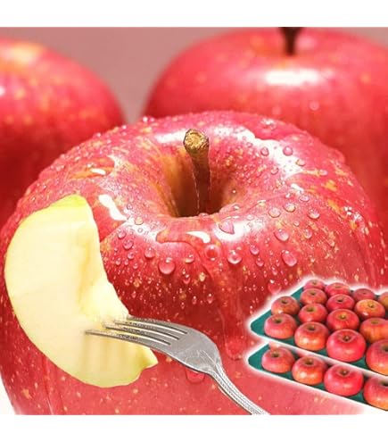 ゆう 新品 焼き目 りんご箱 10箱 ゆう 新品 焼き目 りんご箱 10箱 ゆう 新品 焼き目 りんご箱 10箱